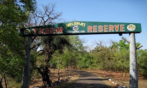 Melghat-Tiger-Reserve-Amravati
